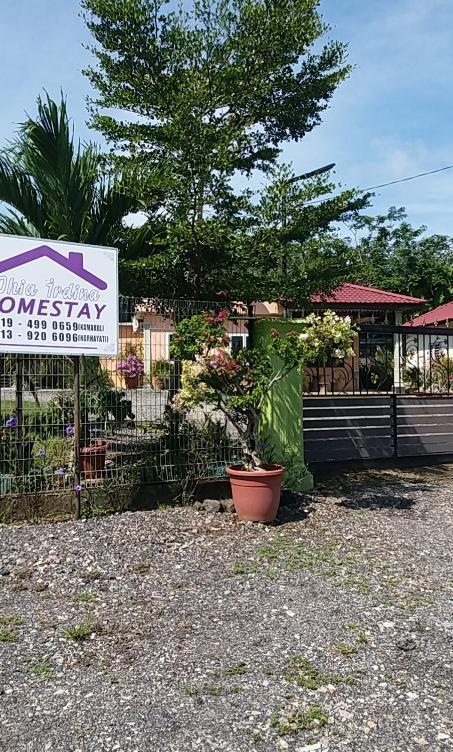 Dhia Irdina Homestay Paya Rewak Zewnętrze zdjęcie